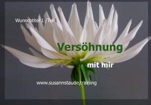 Selbstliebe, sich akzeptieren, aussöhnen, versöhnen, annehmen, Selbstwert, Selbstachtung, Seelencoach, Mentalcoach, Präventionscoach, kraftvolle Beziehung zu sich selbst, innerer Frieden, Selbstfürsorge, seelische Gesundheit, Prävention, seelische Verletzungen, Personalcoach, 1a Telefoncoach, 1a Telefoncoaching