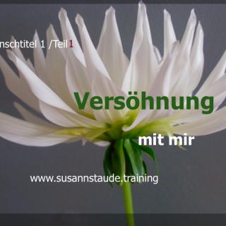 Selbstliebe, sich akzeptieren, aussöhnen, versöhnen, annehmen, Selbstwert, Selbstachtung, Seelencoach, Mentalcoach, Präventionscoach, kraftvolle Beziehung zu sich selbst, innerer Frieden, Selbstfürsorge, seelische Gesundheit, Prävention, seelische Verletzungen, Personalcoach, 1a Telefoncoach, Kassel, Frankfurt, Coaching Kassel, Coaching Hessen, 1a Telefoncoaching Headcoach Work-Life-Balance