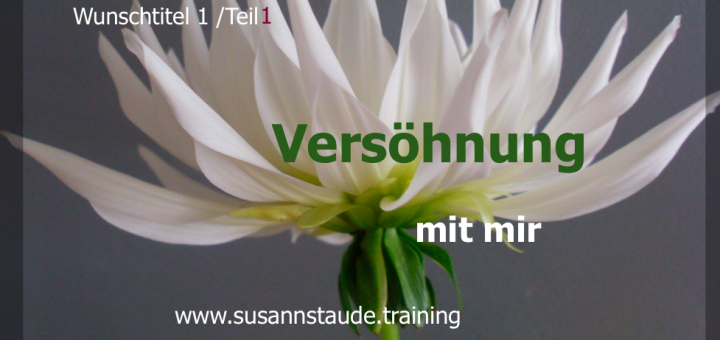 Selbstliebe, sich akzeptieren, aussöhnen, versöhnen, annehmen, Selbstwert, Selbstachtung, Seelencoach, Mentalcoach, Präventionscoach, kraftvolle Beziehung zu sich selbst, innerer Frieden, Selbstfürsorge, seelische Gesundheit, Prävention, seelische Verletzungen, Personalcoach, 1a Telefoncoach, Kassel, Frankfurt, Coaching Kassel, Coaching Hessen, 1a Telefoncoaching Headcoach Work-Life-Balance
