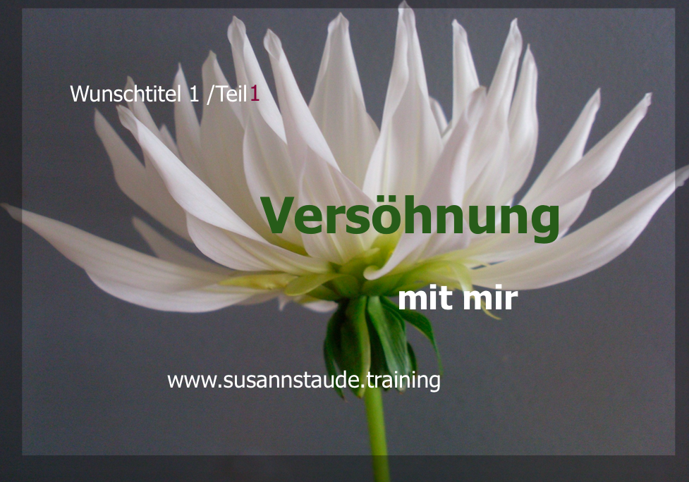 Selbstliebe, sich akzeptieren, aussöhnen, versöhnen, annehmen, Selbstwert, Selbstachtung, Seelencoach, Mentalcoach, Präventionscoach, kraftvolle Beziehung zu sich selbst, innerer Frieden, Selbstfürsorge, seelische Gesundheit, Prävention, seelische Verletzungen, Personalcoach, 1a Telefoncoach, 1a Telefoncoaching