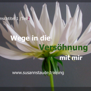 Selbstliebe, sich akzeptieren, aussöhnen, versöhnen, annehmen, Selbstwert, Selbstachtung, Seelencoach, Mentalcoach, Präventionscoach, kraftvolle Beziehung zu sich selbst, innerer Frieden, Selbstfürsorge, seelische Gesundheit, Prävention, seelische Verletzungen, Personalcoach, 1a Telefoncoach, Coaching Kassel, Frankfurt, Hessen, Bayern, 1a Telefoncoaching Headcoach Work-Life-Balance