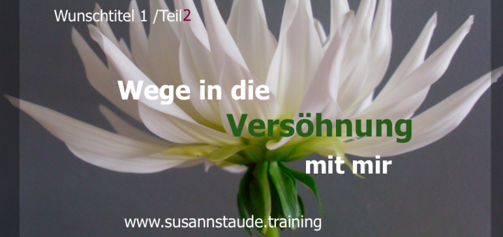 Selbstliebe, sich akzeptieren, aussöhnen, versöhnen, annehmen, Selbstwert, Selbstachtung, Seelencoach, Mentalcoach, Präventionscoach, kraftvolle Beziehung zu sich selbst, innerer Frieden, Selbstfürsorge, seelische Gesundheit, Prävention, seelische Verletzungen, Personalcoach, 1a Telefoncoach, Coaching Kassel, Frankfurt, Hessen, Bayern, 1a Telefoncoaching Headcoach Work-Life-Balance
