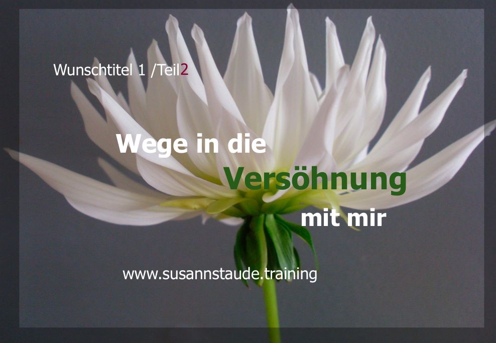 Selbstliebe, sich akzeptieren, aussöhnen, versöhnen, annehmen, Selbstwert, Selbstachtung, Seelencoach, Mentalcoach, Präventionscoach, kraftvolle Beziehung zu sich selbst, innerer Frieden, Selbstfürsorge, seelische Gesundheit, Prävention, seelische Verletzungen, Personalcoach, 1a Telefoncoach, 1a Telefoncoaching